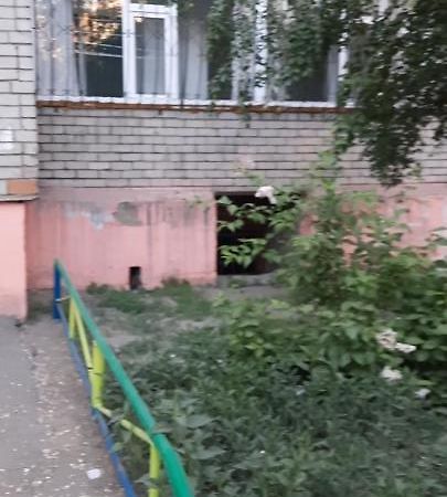 Cosy flat Lägenhet Semey Exteriör bild