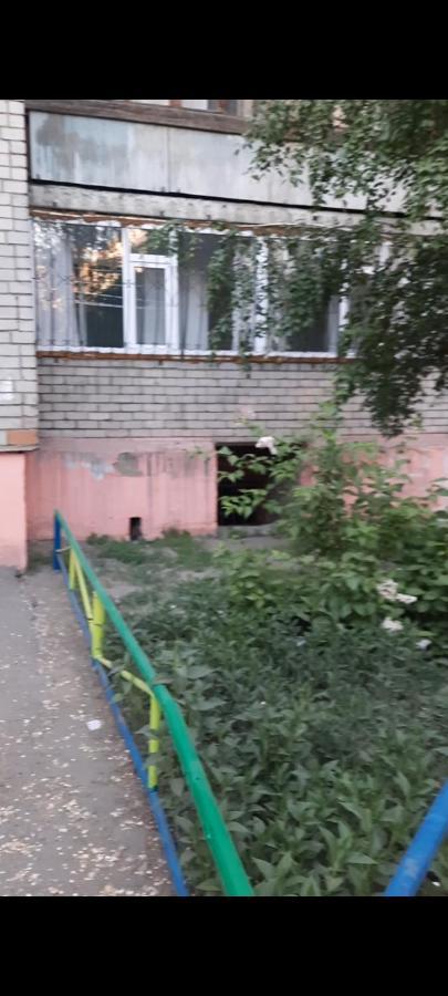 Cosy flat Lägenhet Semey Exteriör bild
